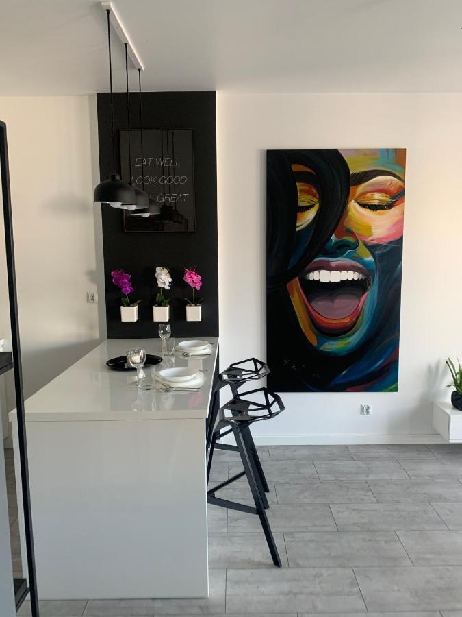 Ekskluzywny Penthouse Z Ogrodem W Centrum Lodzi المظهر الخارجي الصورة